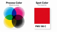 //rororwxhjmmllj5p.ldycdn.com/cloud/plBplKpklqSRqlpjqkrikp/Process-Vs-Spot-Color-Overview.jpg